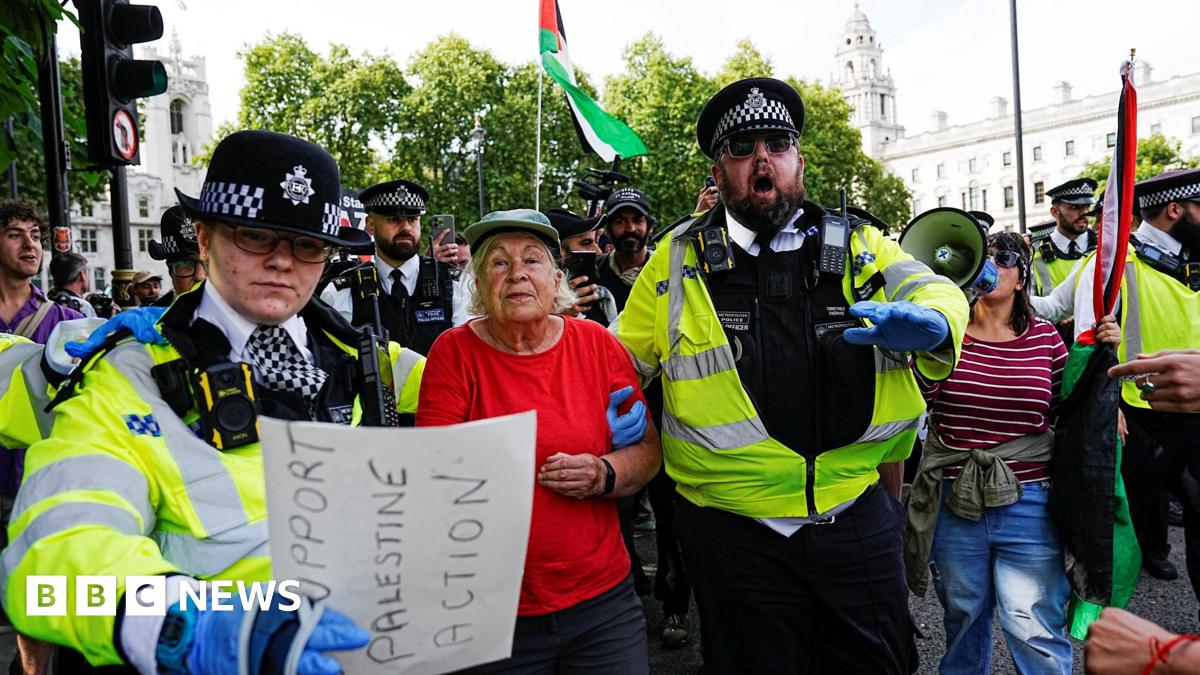 Two police officers arrest a woman with grey hair. The officer on the left is a woman who is wearing glasses, uniform and gloves while the right-hand officer, who has his arm through the arm of the woman being led away, is a man with a beard. He is sho...