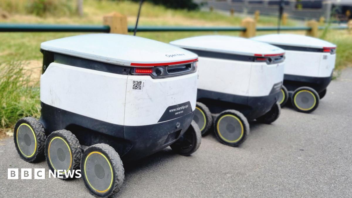 bbc.co.uk - Sofía Luis-Hobbs - Delivery robots are in the way - you're the one who has to move