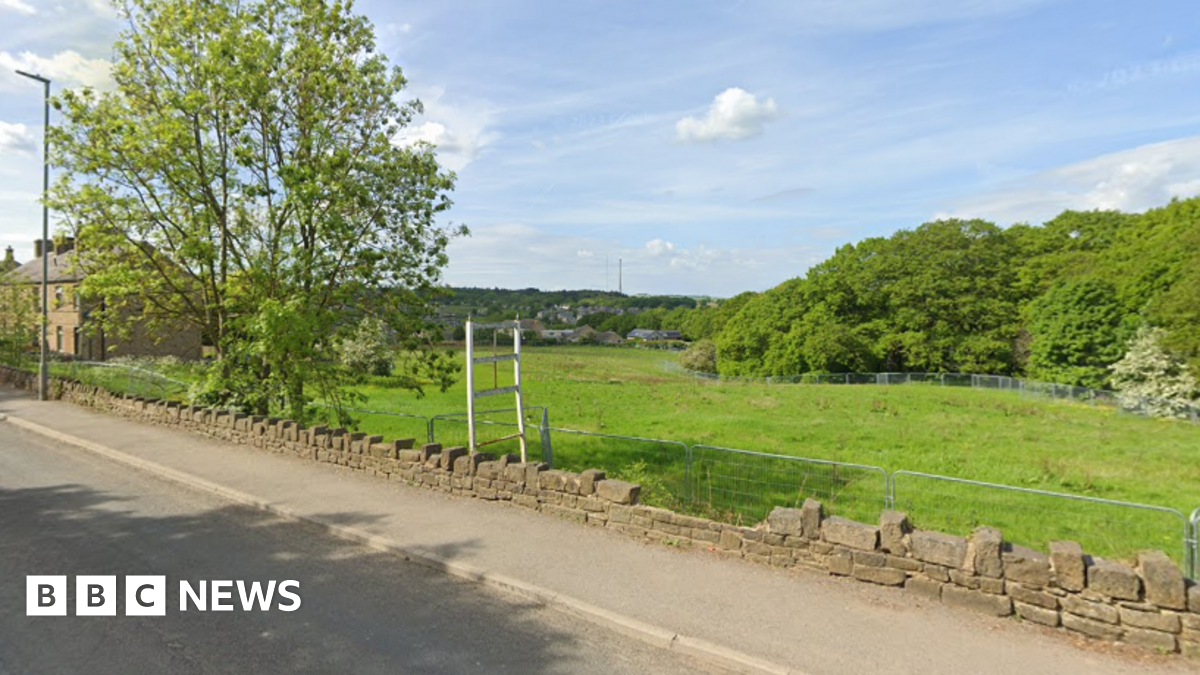 Luxury homes plan for green space to be examined