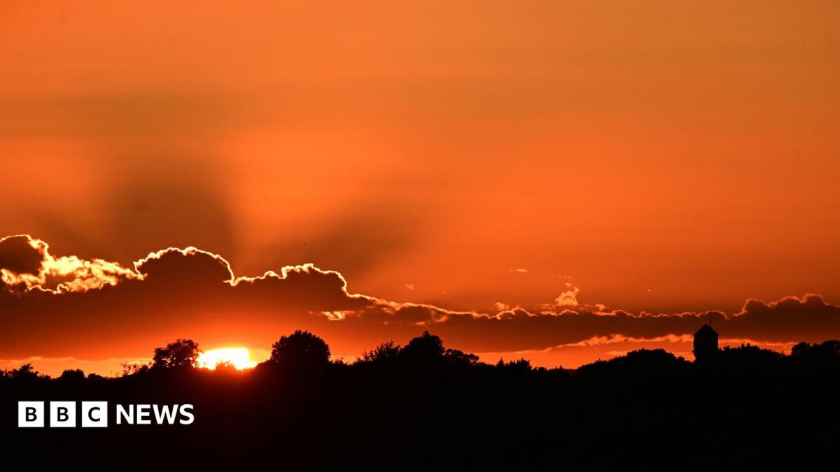 Thousands may have died in UK's exceptional May and June heatwaves