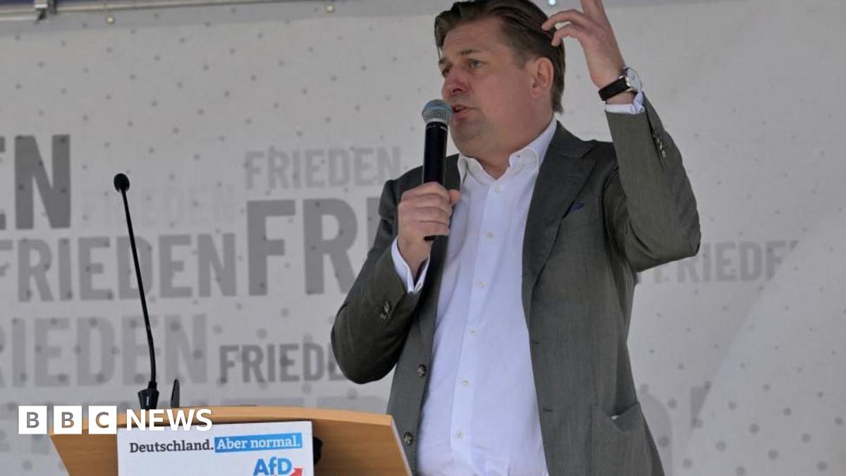 Maximilian Krah with a microphone at a lectern 