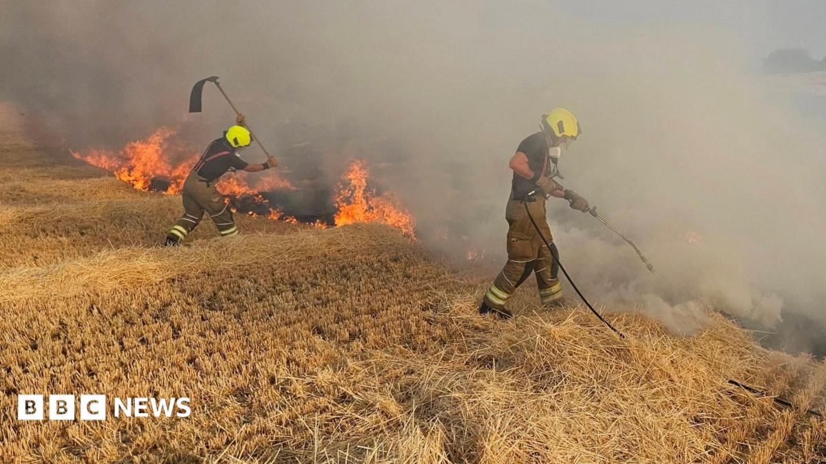 Bedfordshire fire crews tackle three field blazes in one day