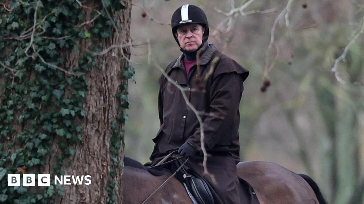 
                            Why has Andrew Mountbatten-Windsor been arrested?