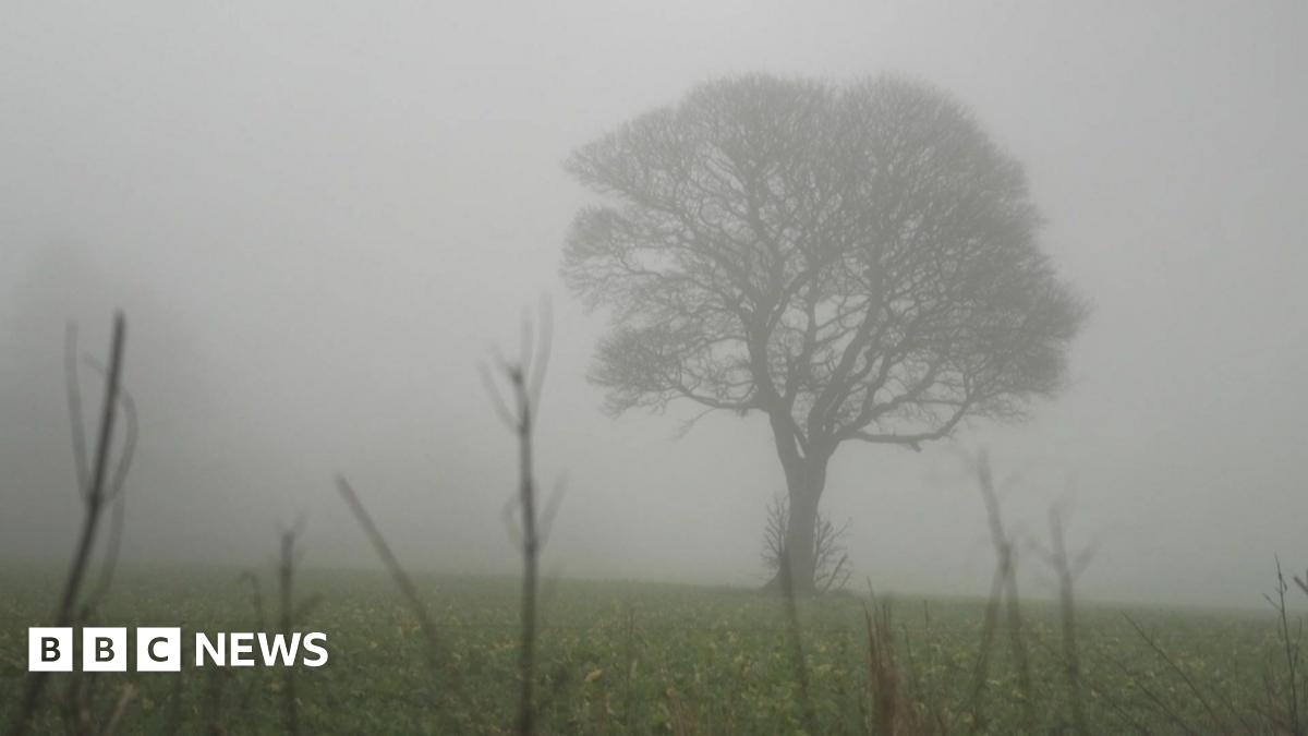 bbc.co.uk - Nathan Turvey - Upper Cumberworth villagers fear loss of tree if homes built