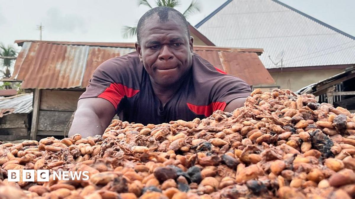bbc.co.uk - Thomas Naadi - Cocoa farmers in Ghana and Ivory Coast face bitter times as chocolate market slumps