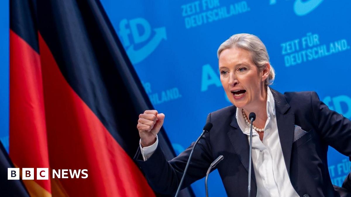 AfD embraces mass deportation of migrants as German election nears