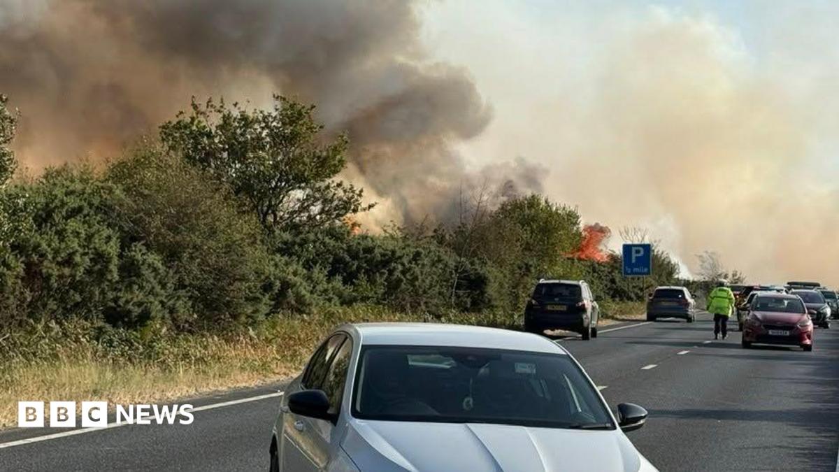 New Forest firefighting to continue overnight as cars abandoned