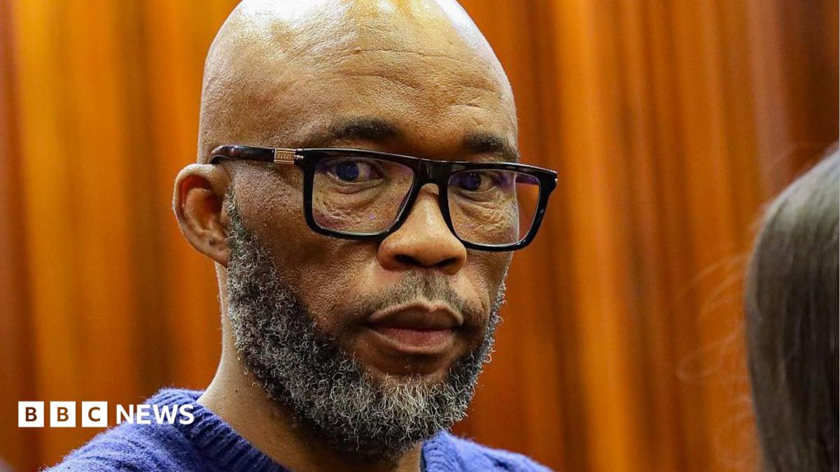 Key figure in South Africa police corruption scandal pleads guilty