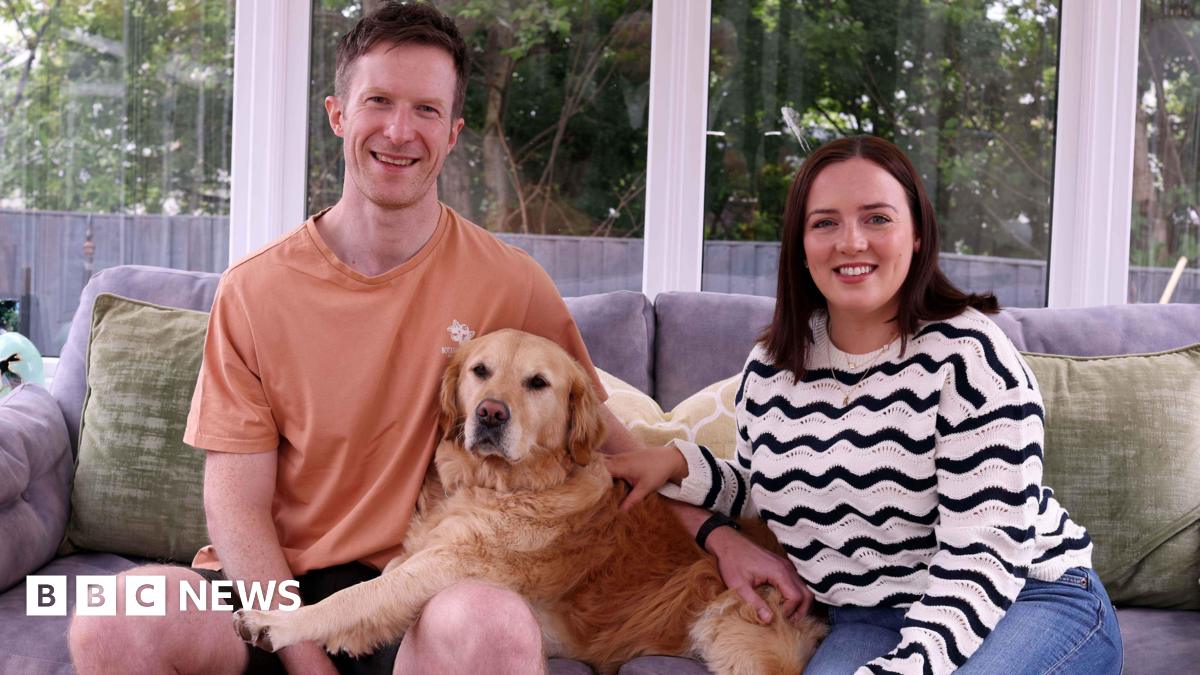 
                            CPR: 'Hero' dog's bark saved owner's life after cardiac arrest