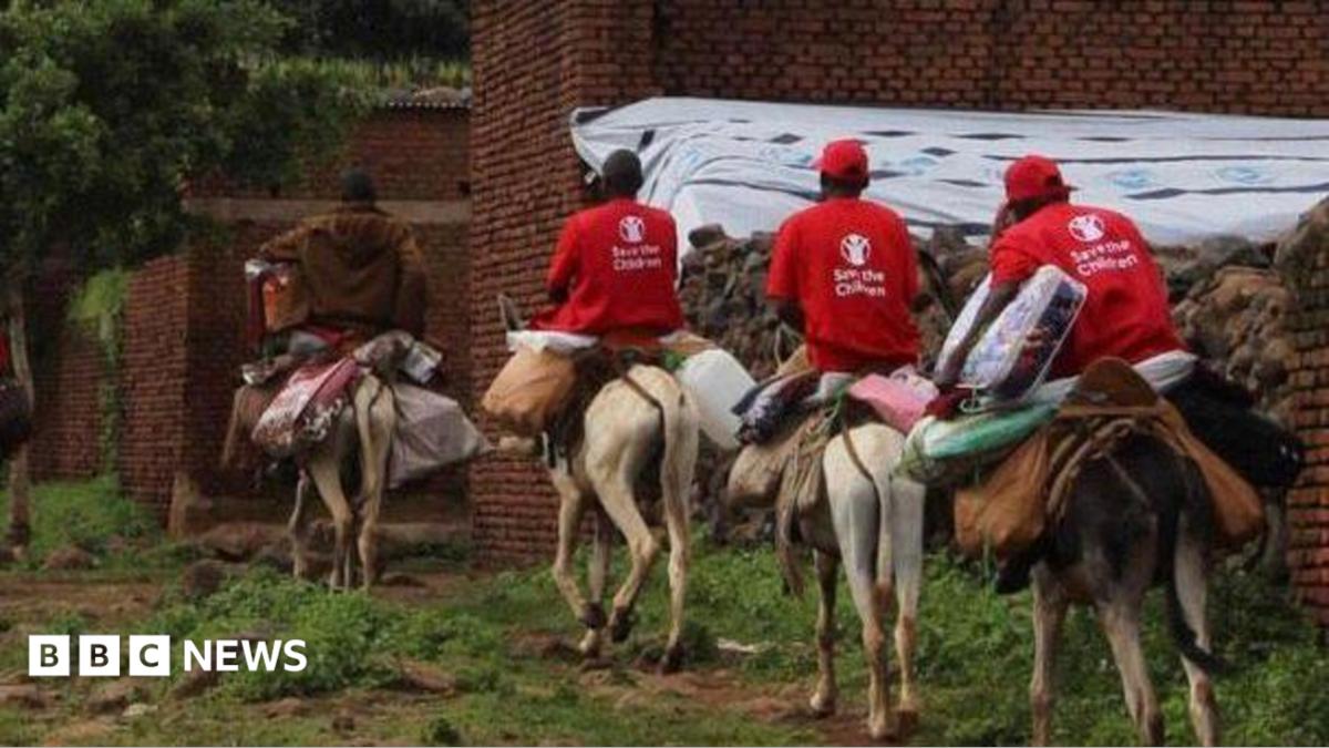 Sudan landslide: Aid workers use donkeys to reach Tarasin village in ...