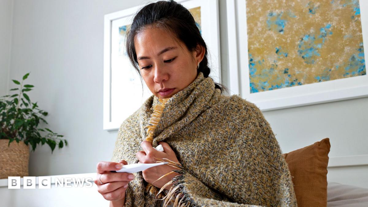 
                            Mutated H3N2 flu virus is circulating - so should you buy a vaccine this year?