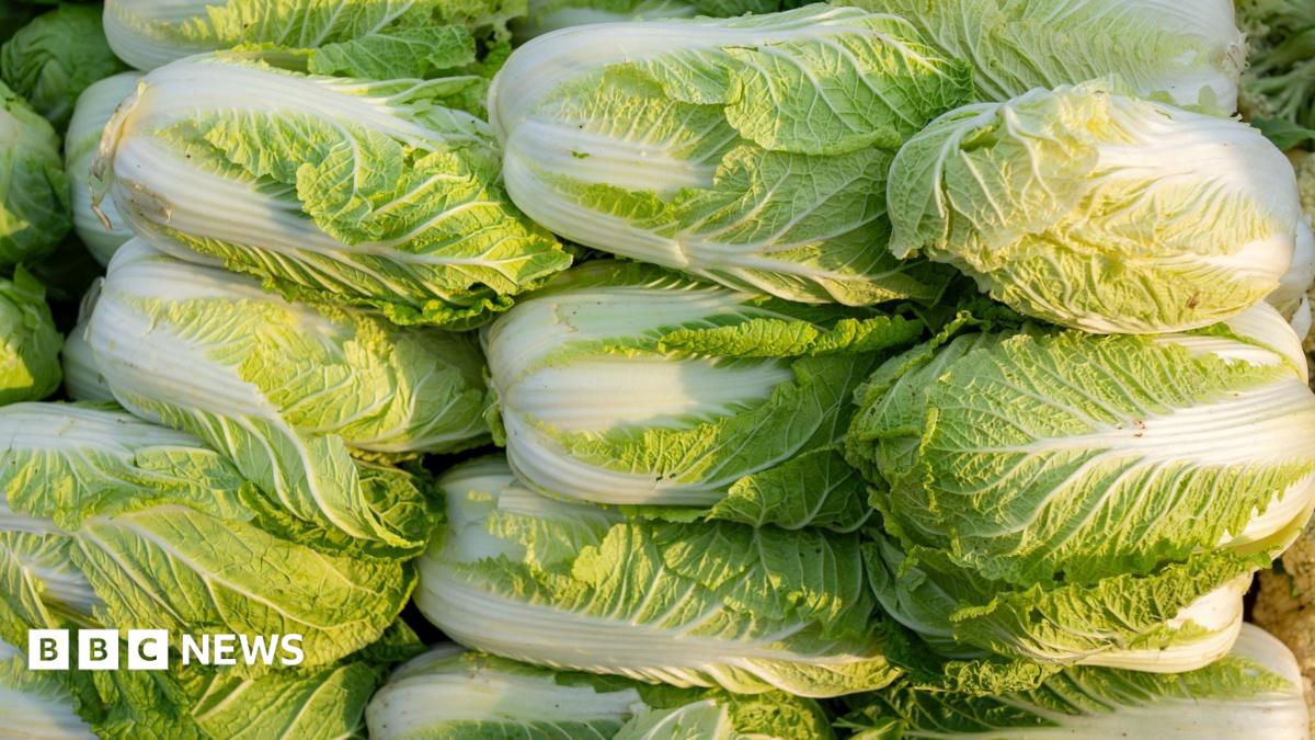 China probes use of formaldehyde to keep cabbages fresh