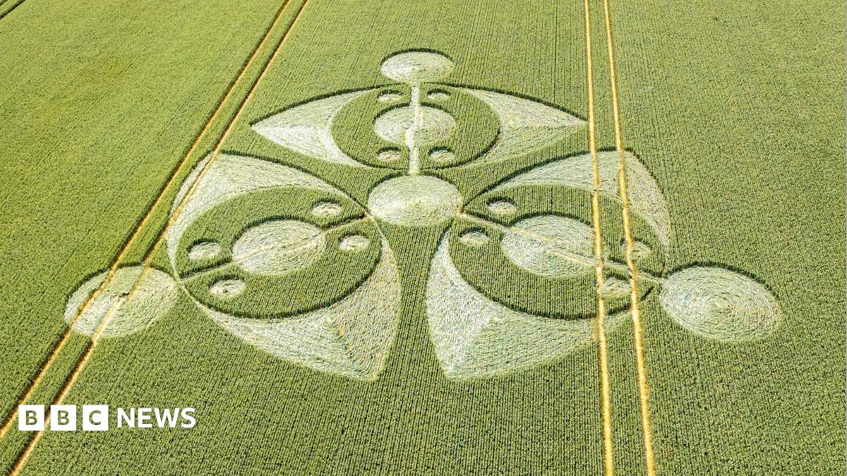Eye-shaped crop circle discovered in Wiltshire farmer's field