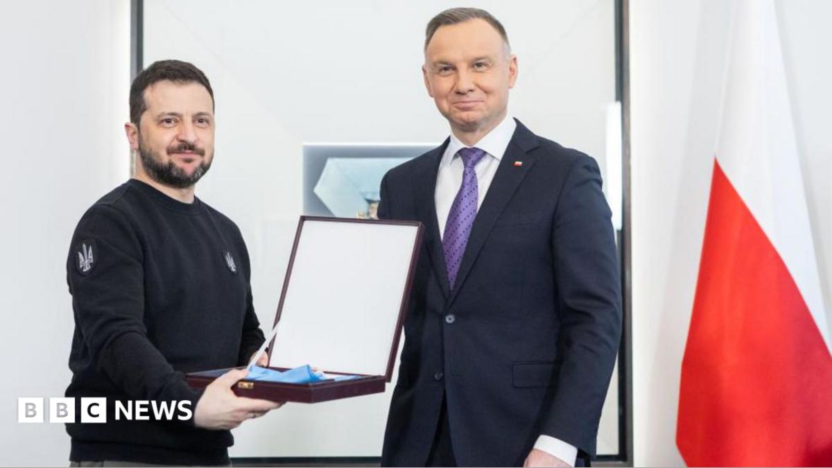 Zelensky stripped of Polish honour over WW2 name of army unit