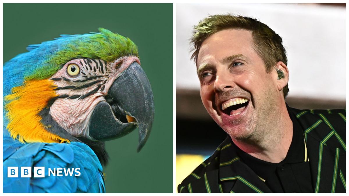 East of England news quiz of the week 8 August
