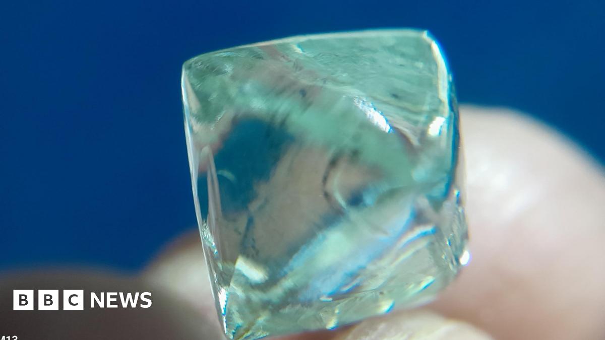Madhya Pradesh: Two friends dig up diamond 'worth $55,000' in Panna