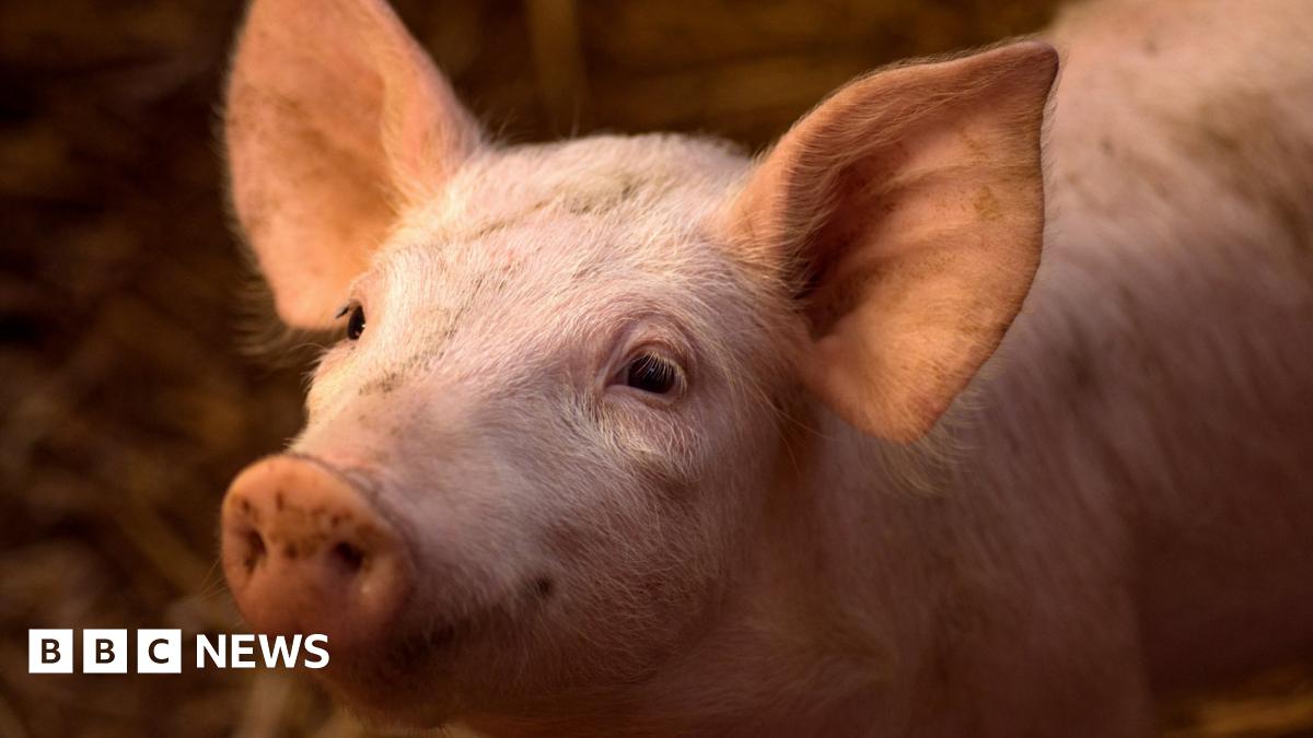 www.bbc.co.uk