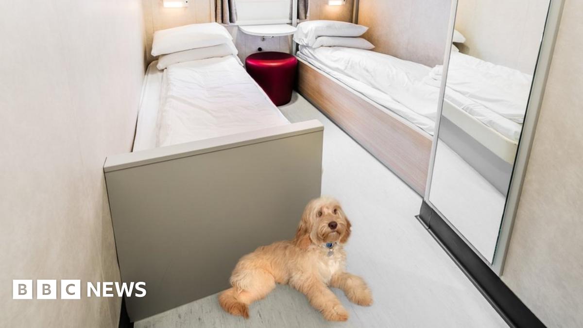 condor-ferries-second-vessel-to-get-pet-friendly-cabins-bbc-news