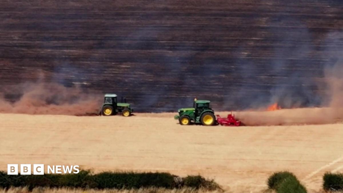 Farmers credited with helping contain Stourbridge wildfire