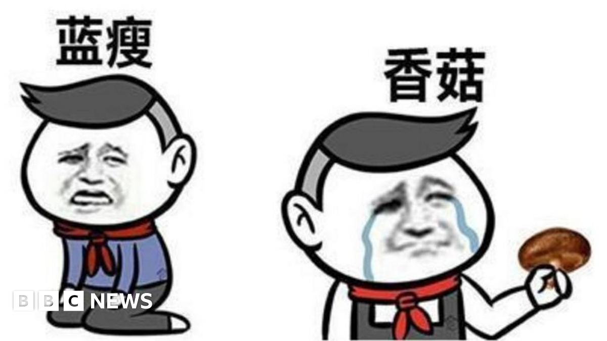 The words that ruled the Chinese internet in 2016 - BBC News