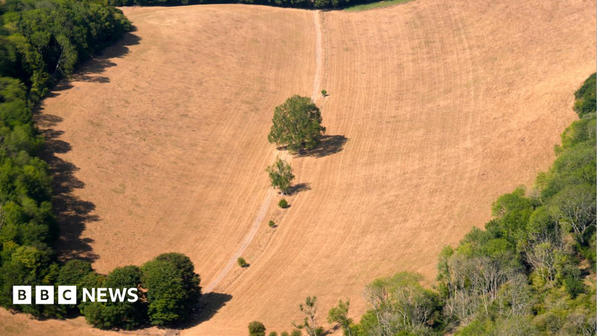 UK sees hottest day of the year as 38.1C recorded in Kew Gardens