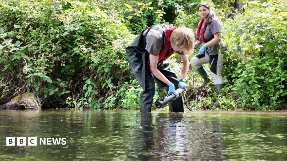 Pollution monitoring first for River Test chalk stream