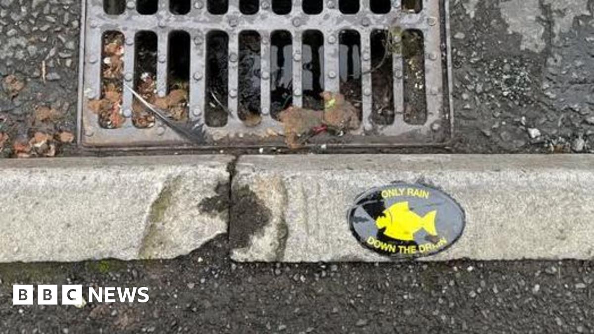 A black and yellow drain marker which reads 'Only rain down the drain' either side of a yellow fish logo sits on a curb stone next to a drain.