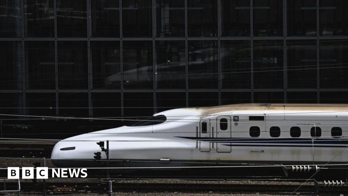 Snake halts Japanese bullet trains after wrapping around power line