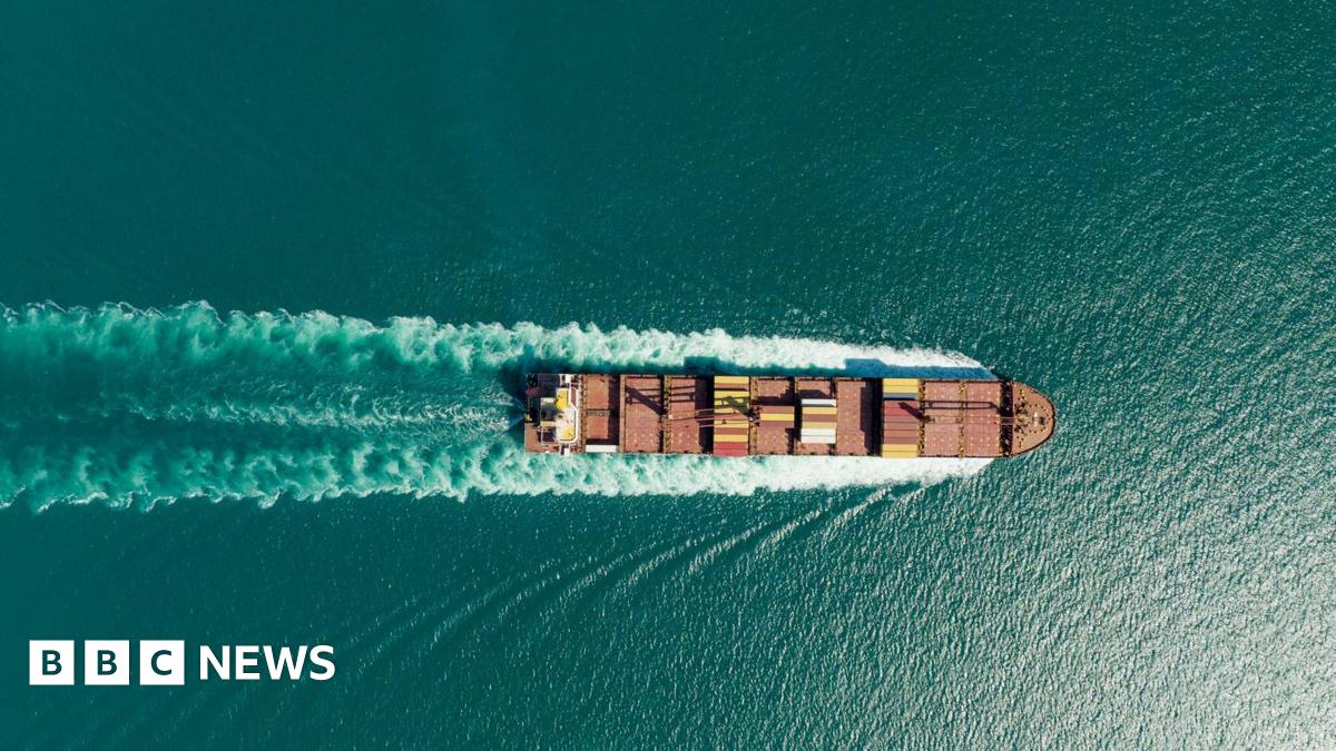 French-owned ship passes through Strait of Hormuz