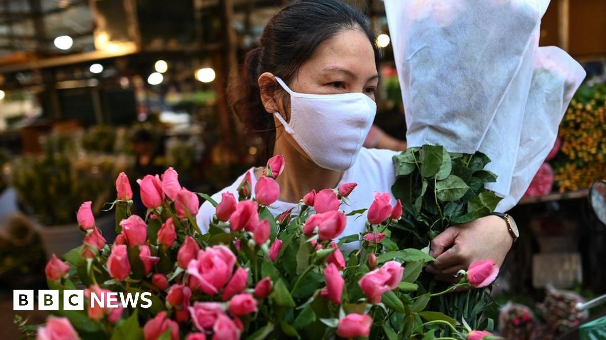 Coronavirus: How 'overreaction' made Vietnam a virus success - BBC News