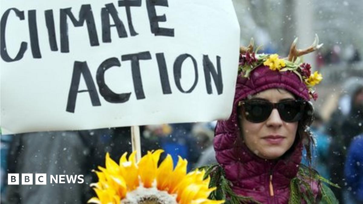 Climate talks cool on idea of accommodating the US - BBC News