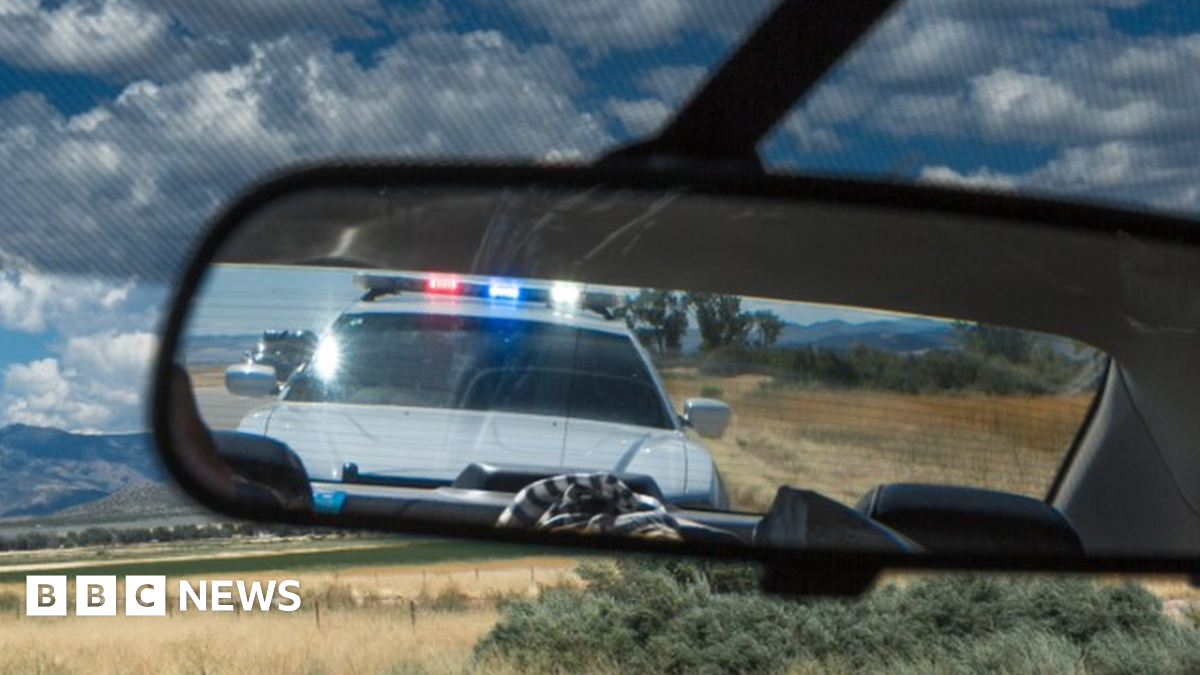 Patrick Lyoya: Could rethink of US police traffic stops save lives? - BBC N