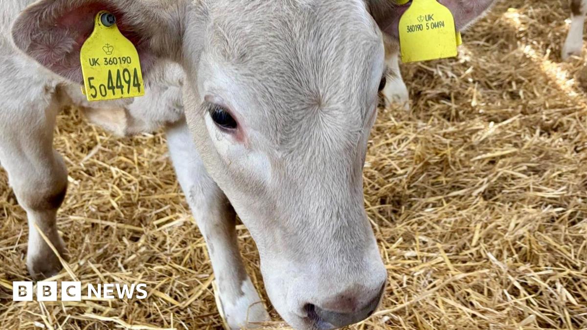 beau vine waste carrier license