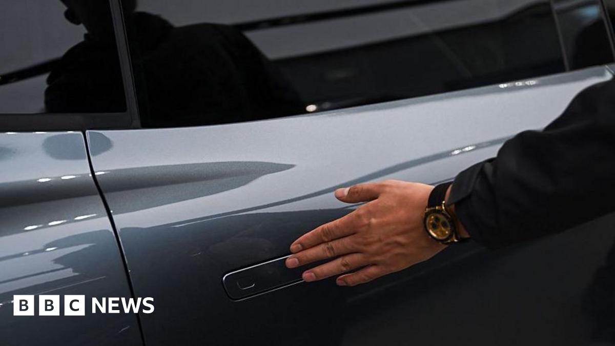 
                            China bans hidden car door handles over safety concerns