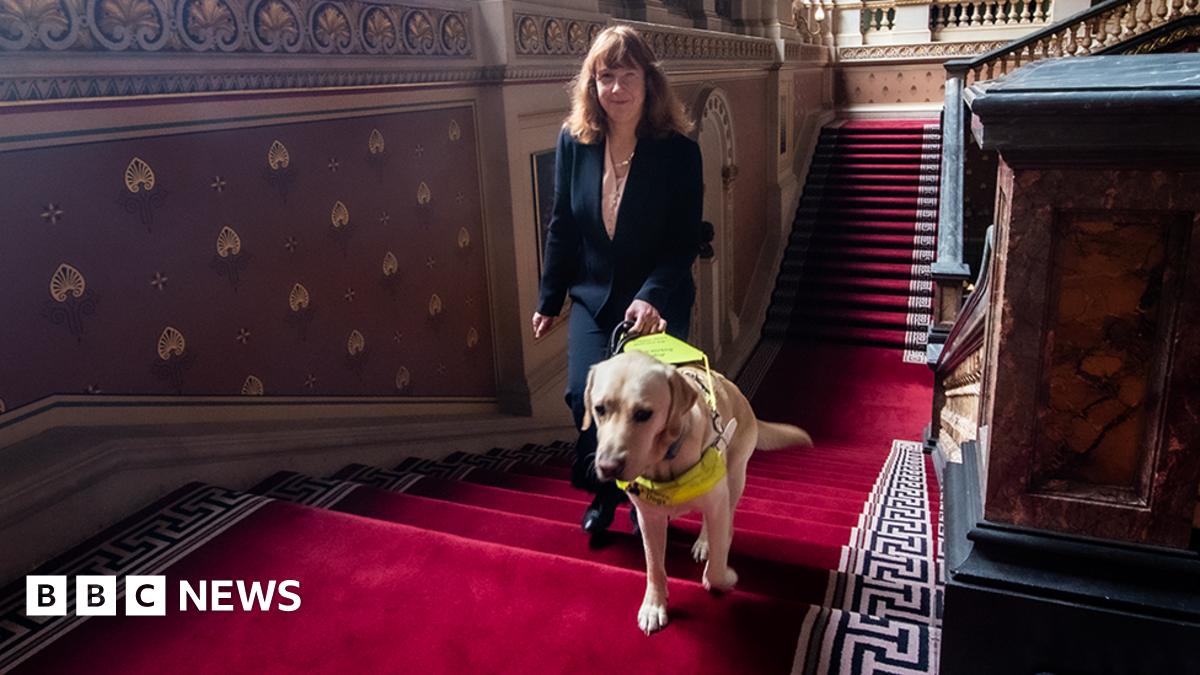 UK's first blind overseas ambassador: My sight loss helps me connect with people - BBC News