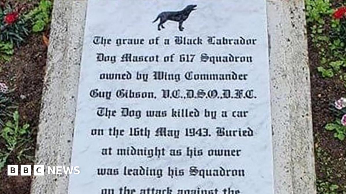 Dambusters dog: Headstone racist name removal 'disgraceful' - BBC News