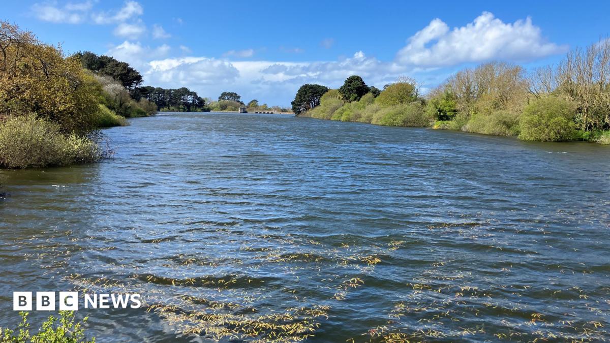 Guernsey Water seeks experts for PFAS treatment
