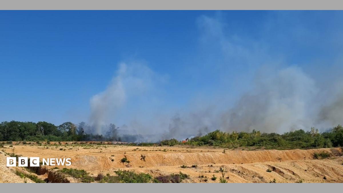 Crews still tackling hot spots at Blackwater heathland fire