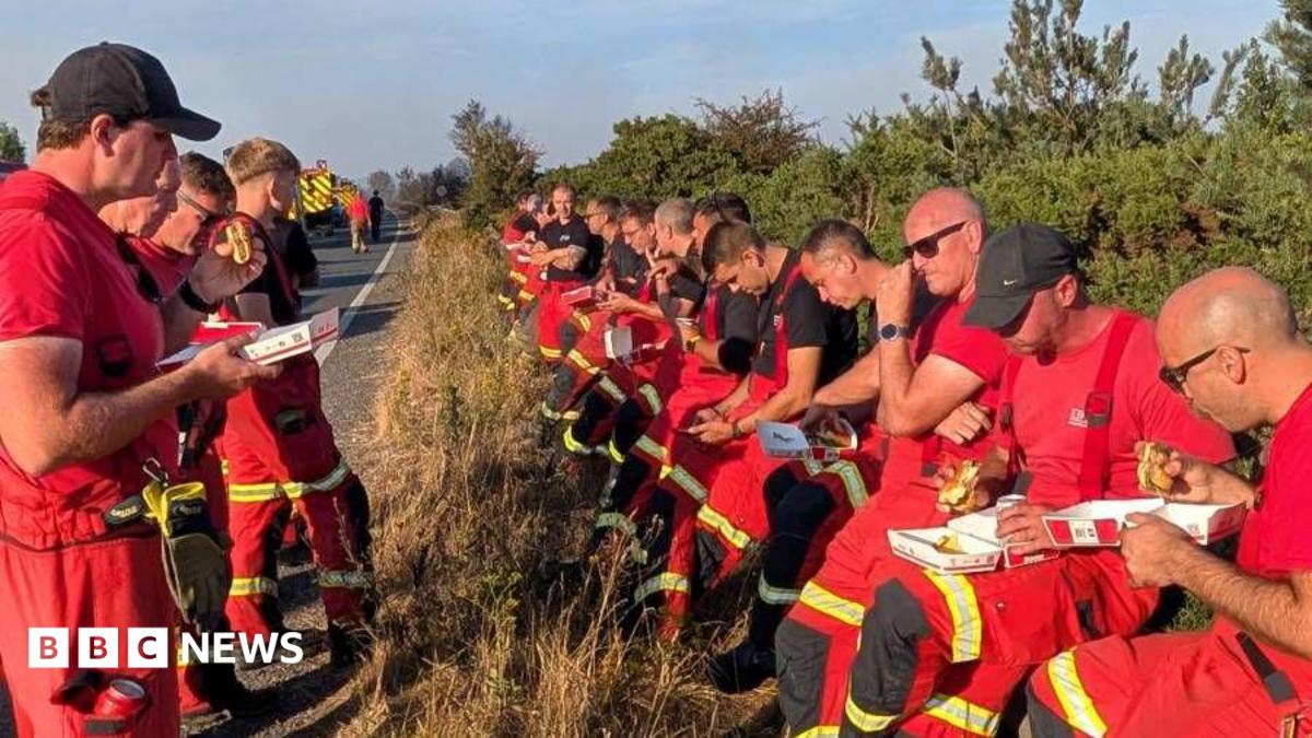 Volunteers support fire crews at Holme Fen, Dunwich and New Forest