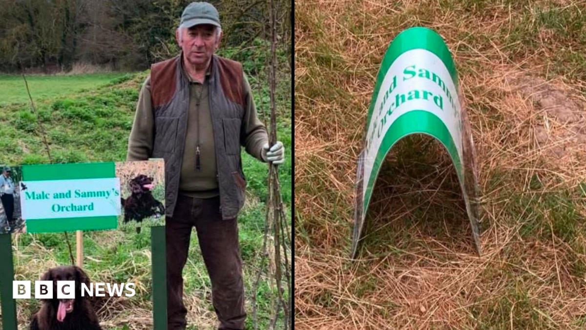 Spalding nature reserve hit by four nights of vandalism