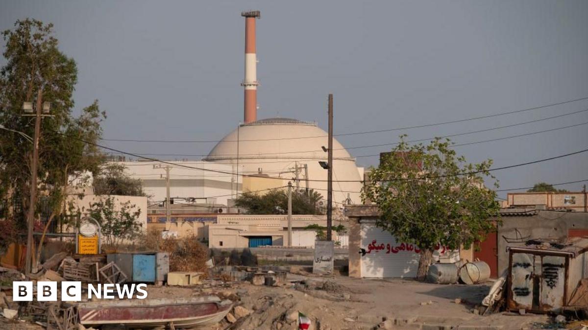 The Bushehr nuclear power plant is seen in a coastal village on the northern coast of the Gulf in Bushehr province, Iran (24 April 2024)