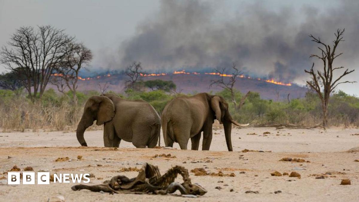 IPBES report sees climate, nature and food challenges interlinked