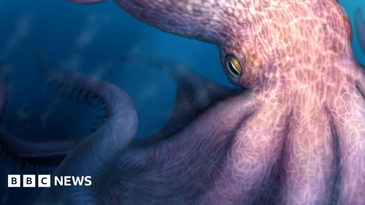 Meet the 19 metre octopus that may have prowled ancient seas