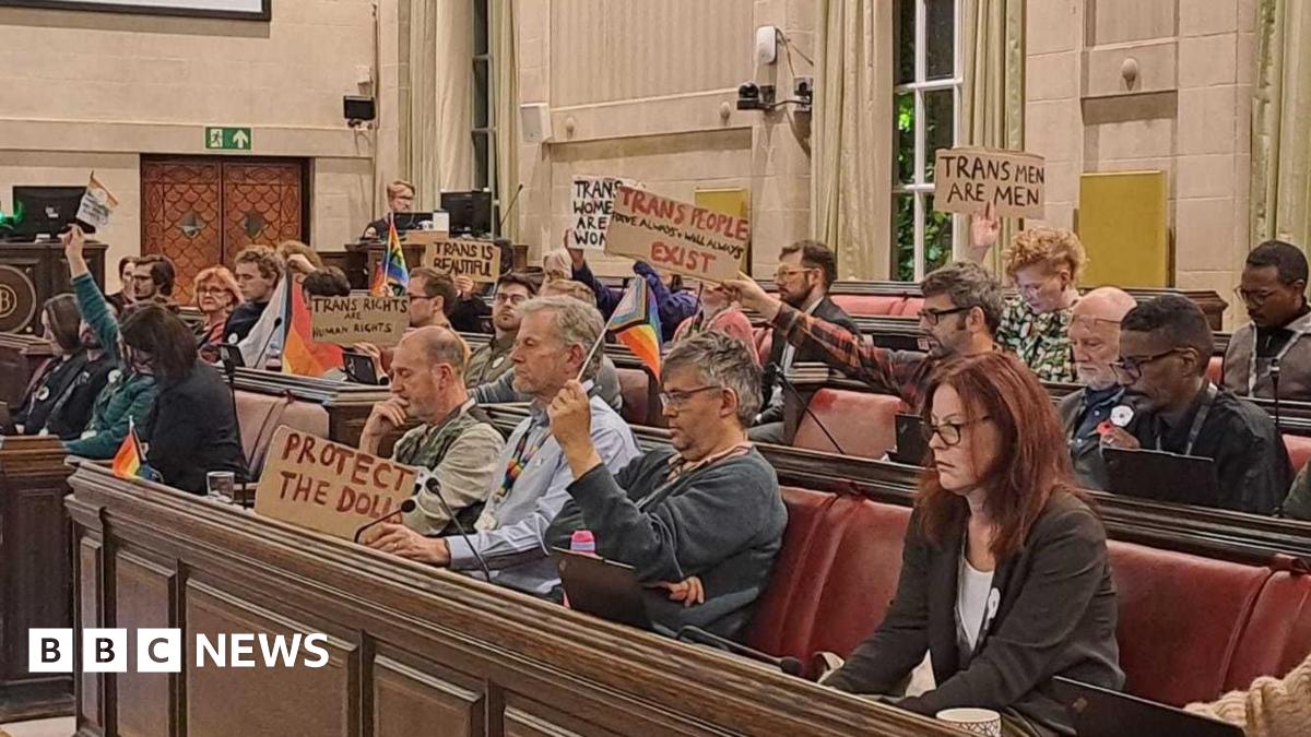 A small crowd of people sat in a public gallery at a council meeting. Many people are holding up banners and flags. Some of the banners say "protect the dolls", "trans men are men" and "trans people exist". Nobody is looking at the camera.