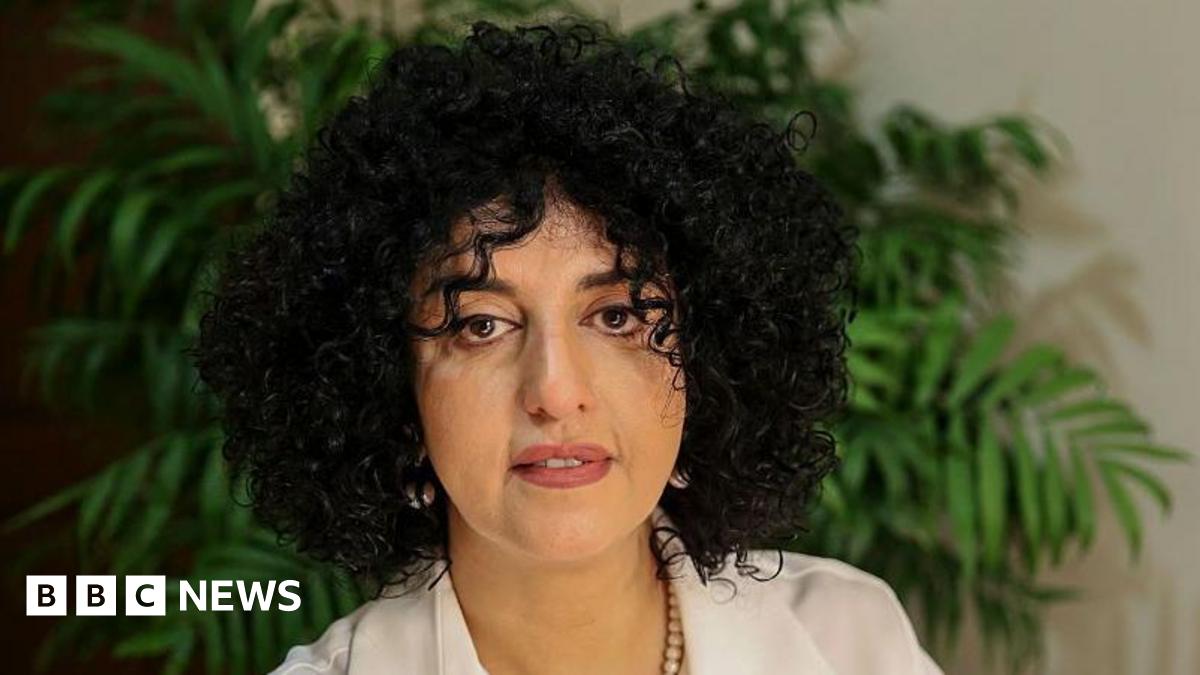 
                            Nobel laureate Narges Mohammadi arrested in Iran, supporters say