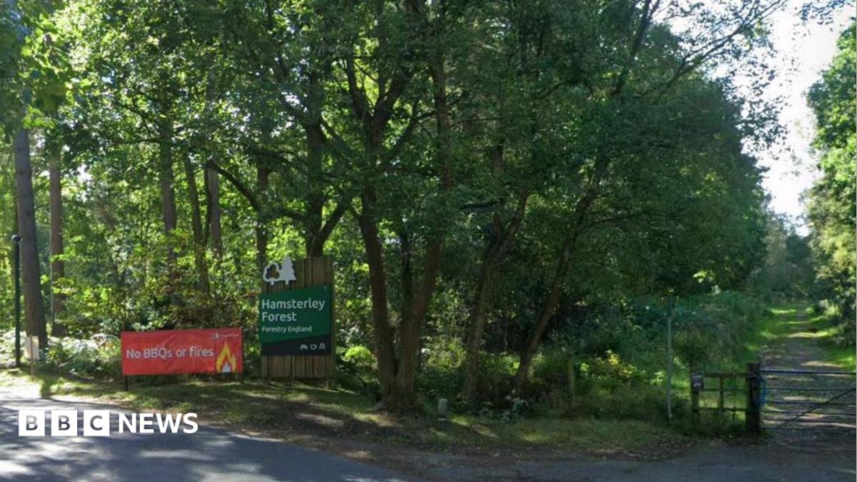 Hamsterley Forest holiday park plans face fresh opposition