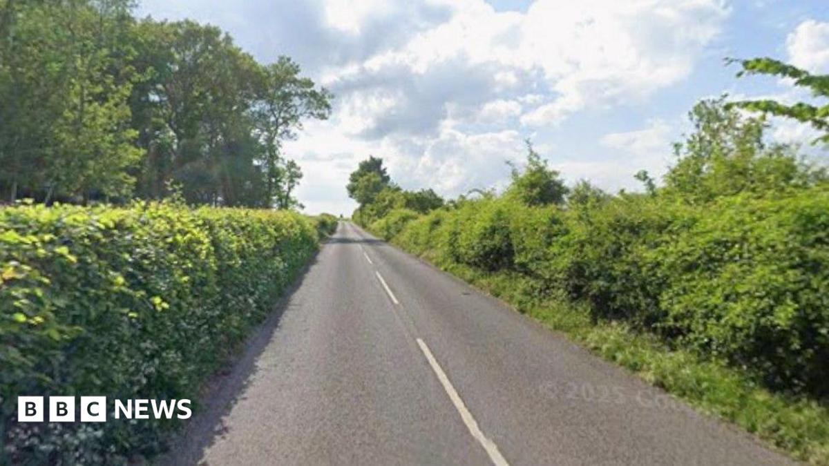Driver, 17, dies in early hours crash on country road