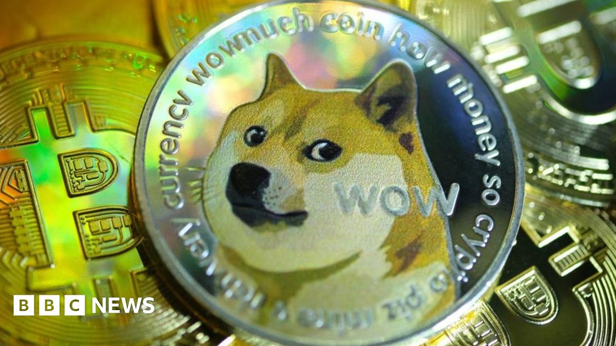 Dogecoin dog makes miraculous recovery - BBC News