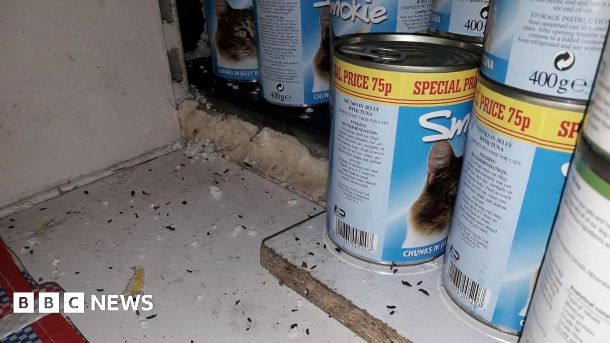 Coventry shop fined for mouse and cockroach infestation