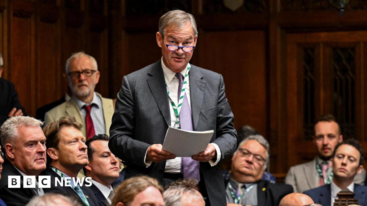 Rupert Lowe stands and speaks in the House of Commons, holding a piece of paper. He wears a suit, tie, and glasses. The chamber is filled with other formally dressed members, with wooden panelling and ornate architectural details visible in the backgro...